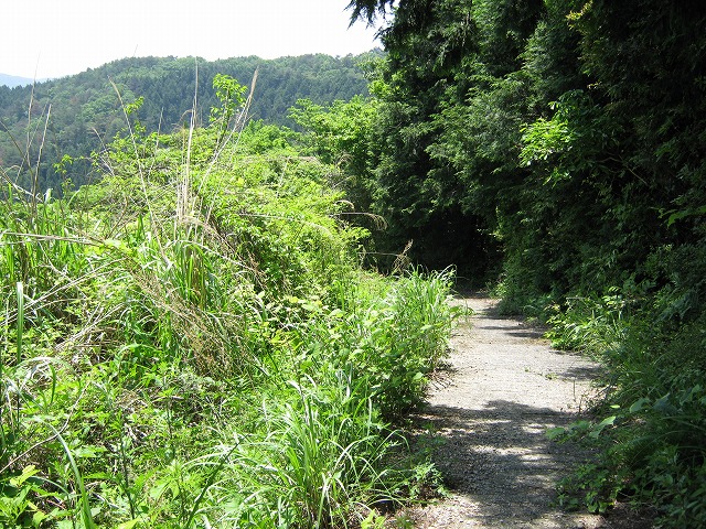 k01_36.jpg