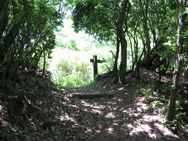 k01_38.jpg