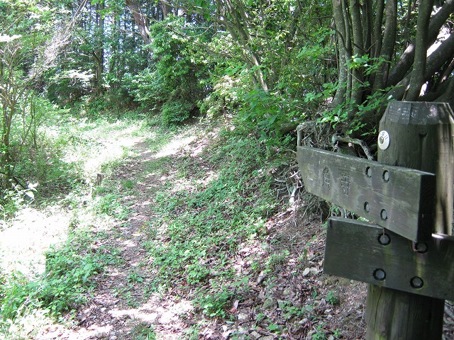 k01_39.jpg
