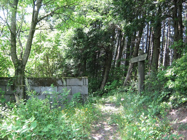 k01_40.jpg