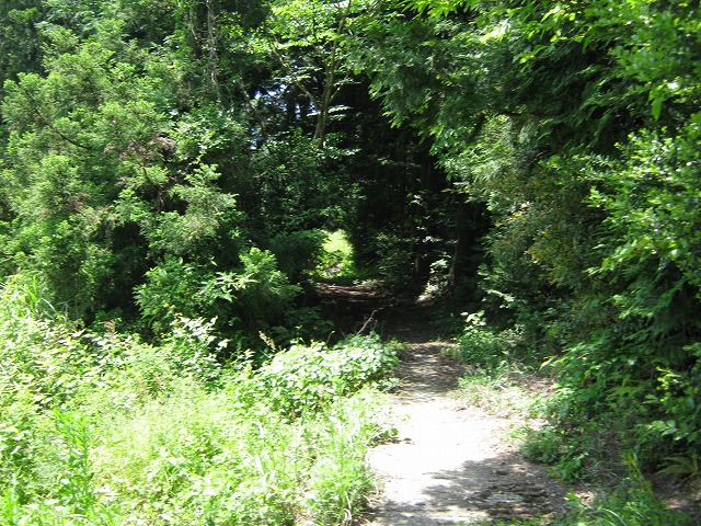 k01_41.jpg
