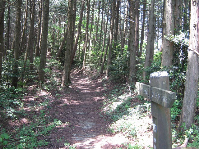k01_42.jpg