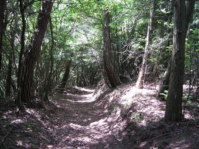 k01_43.jpg