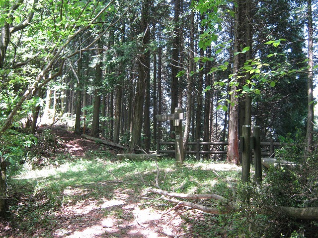k01_44.jpg