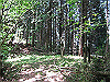 k01_44_thumb.png
