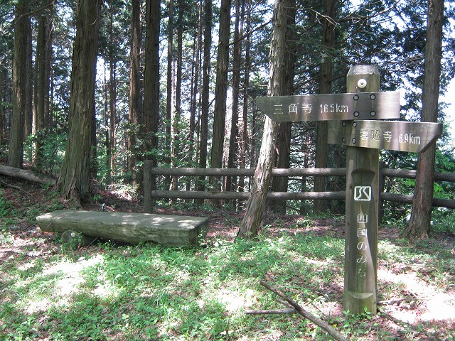 k01_45.jpg