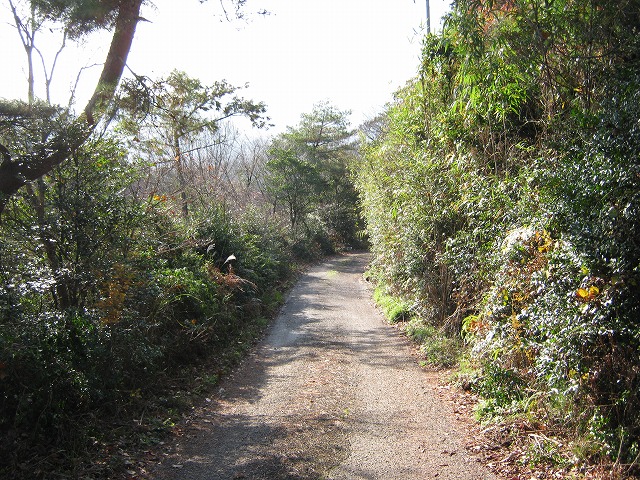 k02_04.jpg