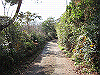 k02_04_thumb.png