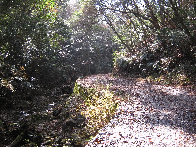 k02_06.jpg