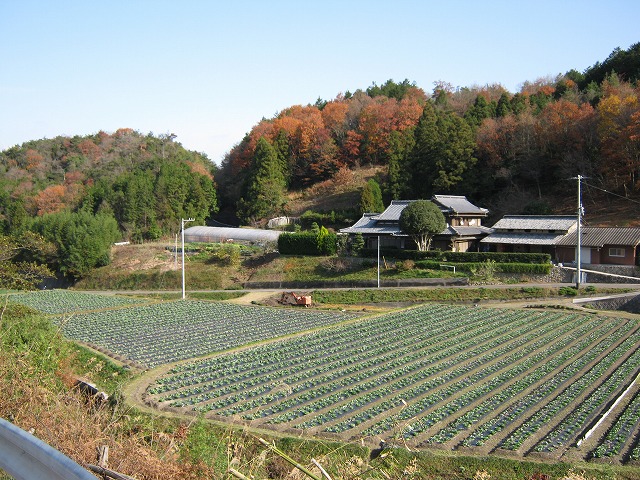 k02_10.jpg