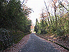 k02_12_thumb.png