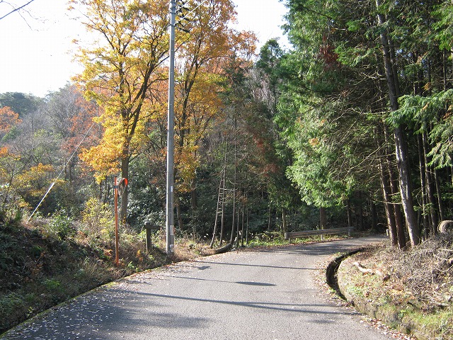 k02_13.jpg