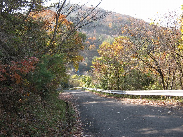 k02_14.jpg