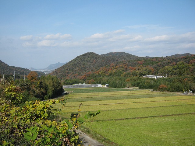 k02_18.jpg