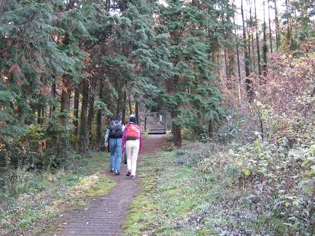k02_23.jpg