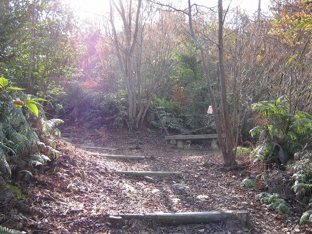 k02_25.jpg