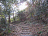 k02_29_thumb.png
