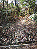 k02_30_thumb.png