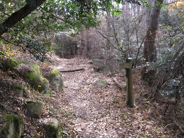 k02_31.jpg