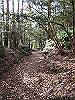 k02_32_thumb.png