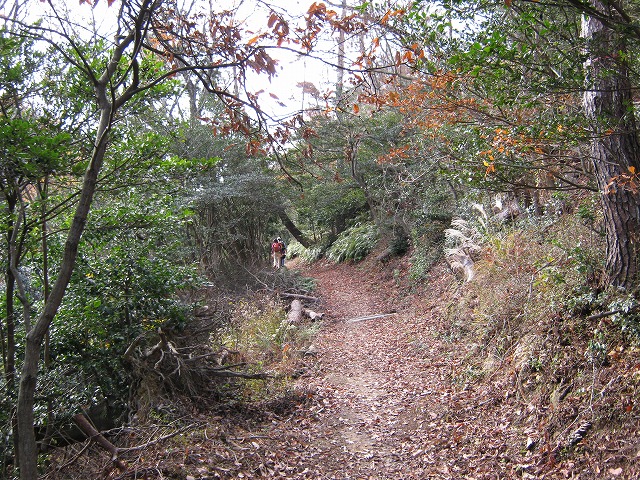 k02_33.jpg