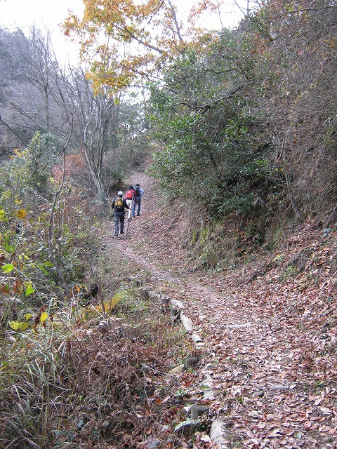 k02_37.jpg