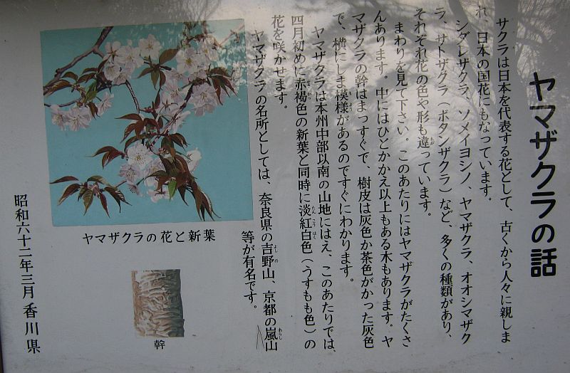 k02_39.jpg