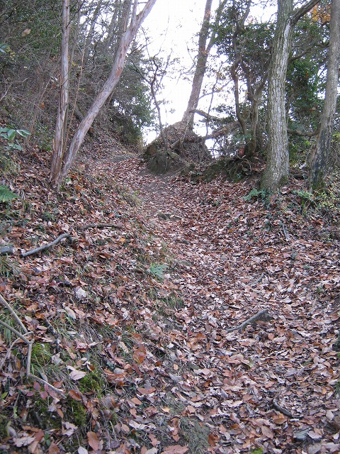 k02_40.jpg
