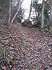 k02_40_thumb.png