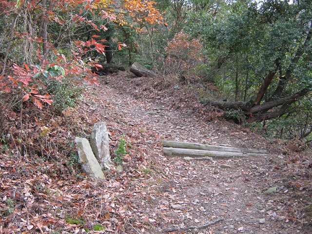 k02_44.jpg
