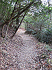 k02_45_thumb.png