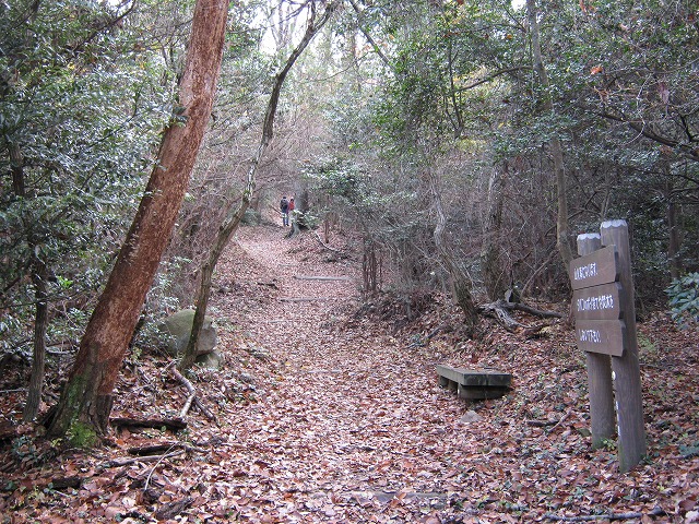 k02_48.jpg
