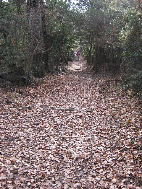 k02_50.jpg