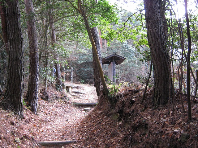 k02_53.jpg