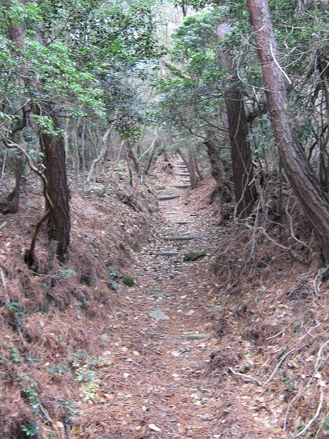 k02_55.jpg