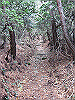 k02_55_thumb.png