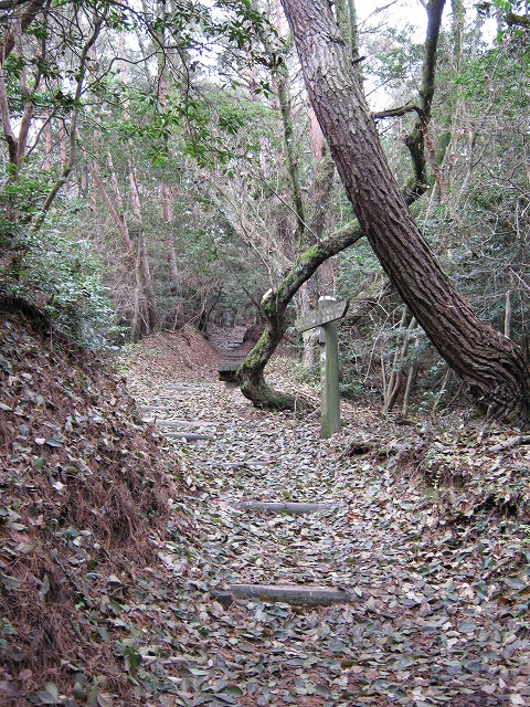 k02_56.jpg