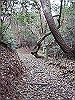 k02_56_thumb.png