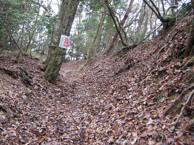 k02_58.jpg