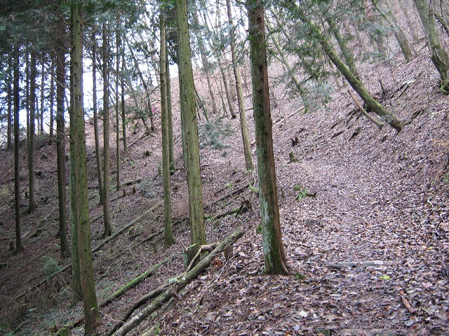 k02_61.jpg