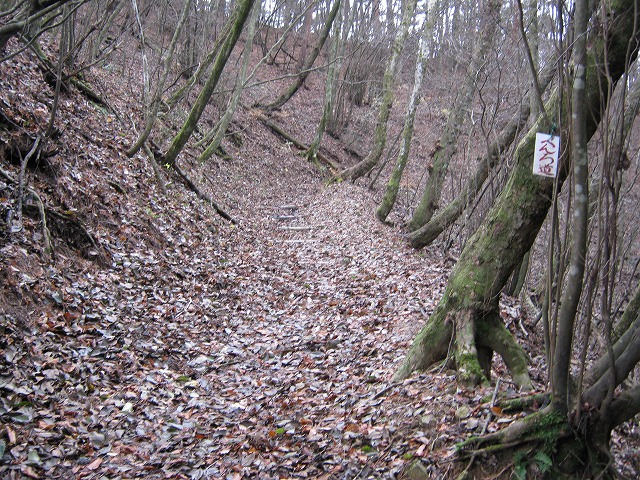 k02_62.jpg