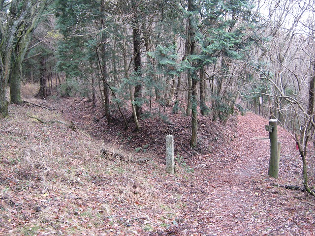 k02_67.jpg