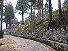k02_77_thumb.png