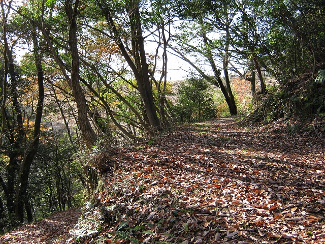 k03_04.jpg