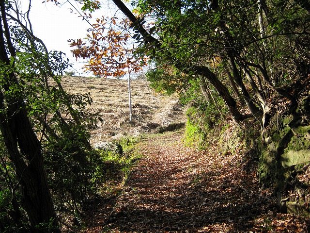 k03_05.jpg