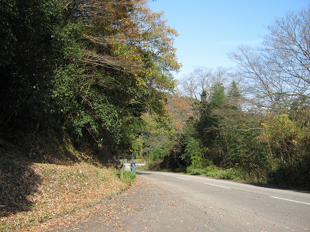 k03_08.jpg