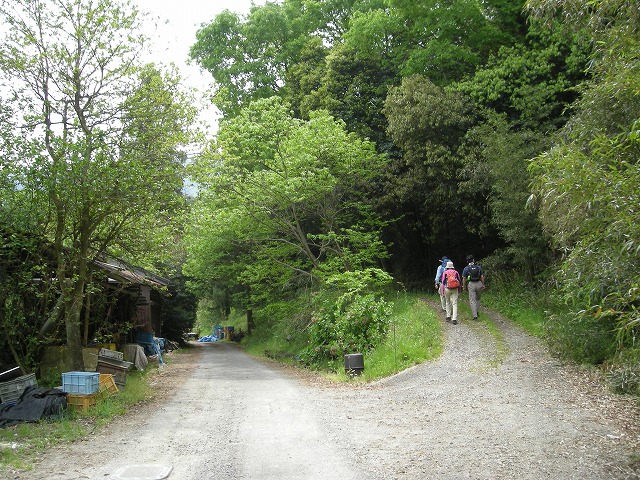 k03_15.jpg