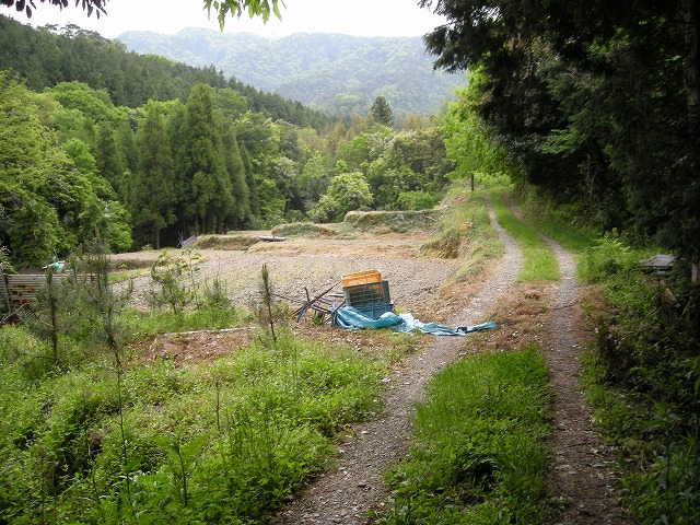 k03_16.jpg