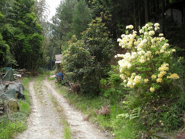 k03_18.jpg