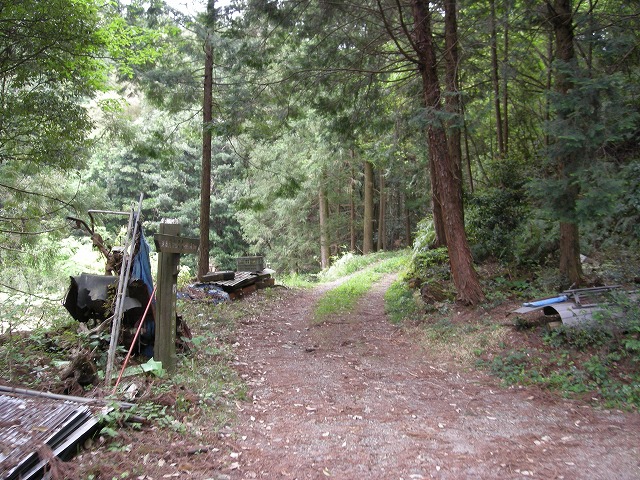 k03_19.jpg
